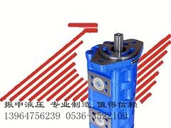 优惠的双联齿轮油泵供应：生产双联齿轮泵