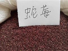 潍坊高性价蛇莓种子·厂家直销_出售蛇莓种子