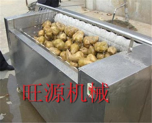 毛刷清洗去皮机/诸城旺源机械制造