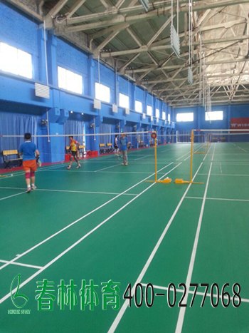专业羽毛球场馆的问题解决方案