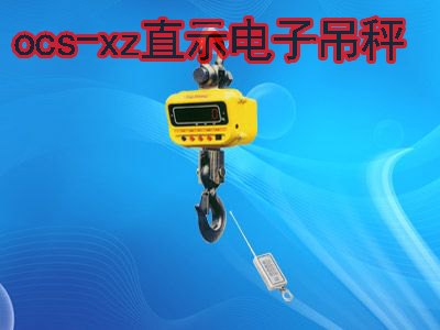 大同电子秤，供应泰安性价比高的电子吊秤
