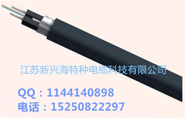 GJXFHA管道用蝶形光缆，江苏新兴海光缆厂家直销全国各地，价格优惠