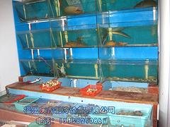 庆鑫制冷设备公司供应值得信赖的玻璃海鲜池——优质