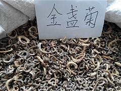 潍坊质优价廉的金盏菊种子哪里有供应 金盏菊供应