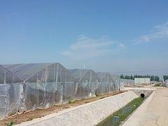 山东口碑好的草莓专用膜生产基地 草莓专用膜供应