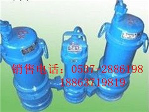 供应BQW型煤矿用隔爆型潜污水电泵促销中