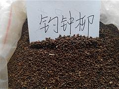 供应山东实用的钓钟柳种子