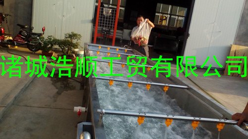 臭氧杀菌洗菜机 多功能果蔬清洗机 气泡蔬菜清洗设备