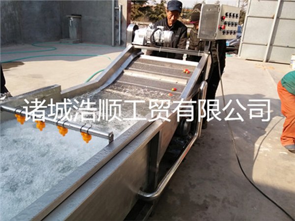 供应草莓清洗机/气泡清洗机
