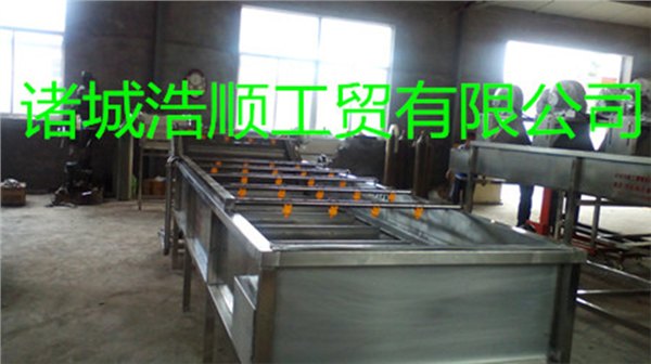 供应水果清洗机 连续式气泡清洗机 