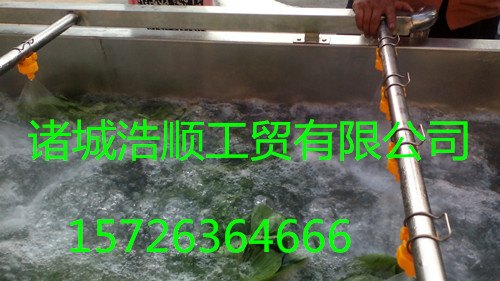 供应豆芽清洗机 蔬菜清洗机