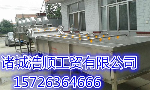 供应浙江清洗机 自动蔬菜清洗设备