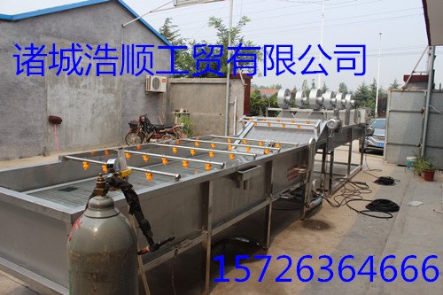 供应蘑菇清洗机 菌类毛刷清洗机 
