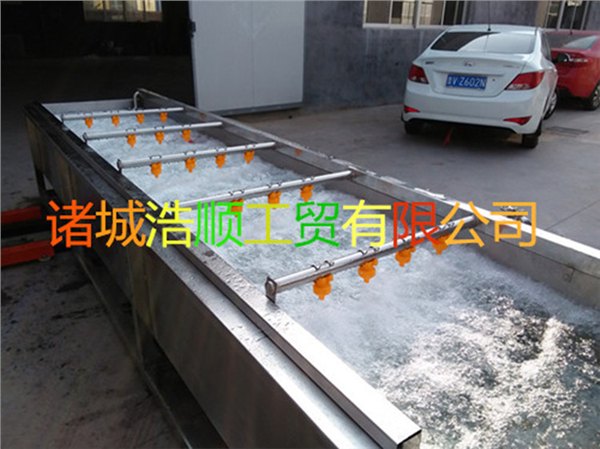 供应叶类菜加工流水线