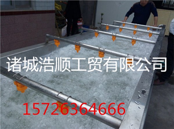 供应白菜清洗机 /不锈钢清洗机