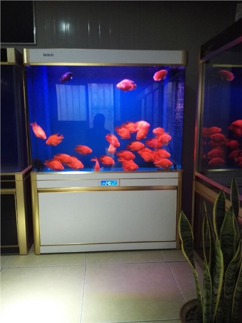 兰州三森水族箱批发，西宁水族箱批发，西藏水族箱批
