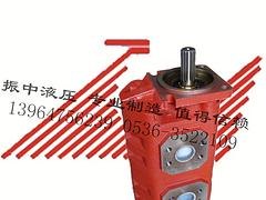 选购专业的双联齿轮油泵就选振中液压机械厂_批发高