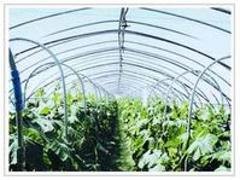 口碑好的流滴二膜市场价格：潍坊流滴二膜