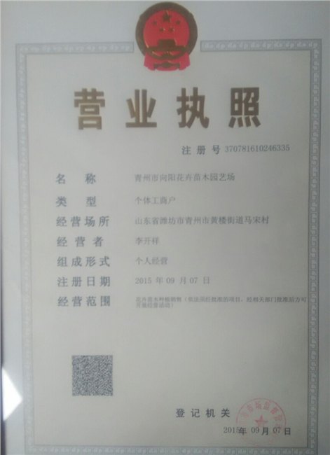青州市向阳花卉苗木合作社