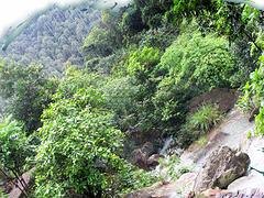 四会旅游景点_肇庆划算的瀑布奇石服务报价