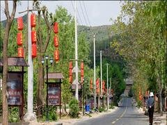 甘肃农家乐景观灯厂家——购买销量好的农家乐景观灯