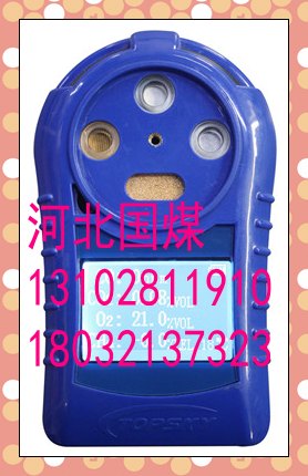 多参数气体测定器
