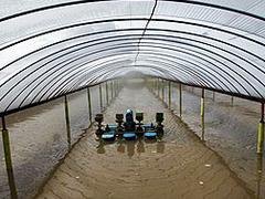 高质量的水产养殖膜市场价格情况|专业生产水产养殖