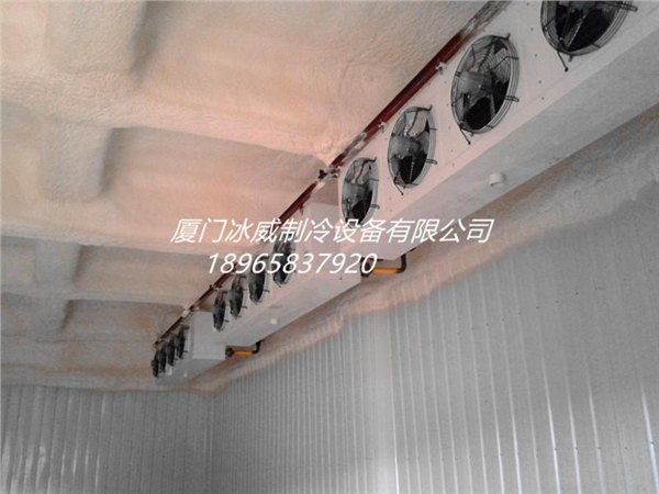 厦门冰威果蔬冷藏库