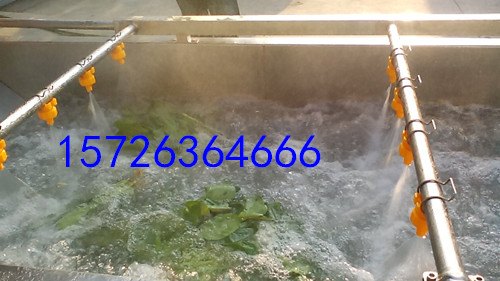 供应小白菜气泡清洗机  蔬菜清洗设备 