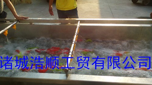 供应菠菜清洗机  304不锈钢清洗设备