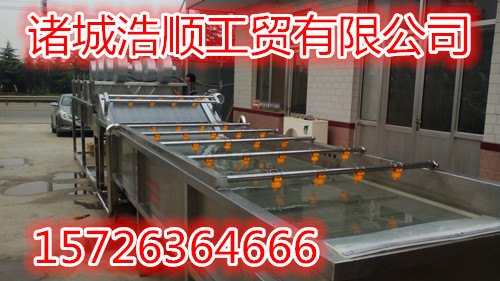 连续式蔬菜清洗设备 土豆毛辊清洗机