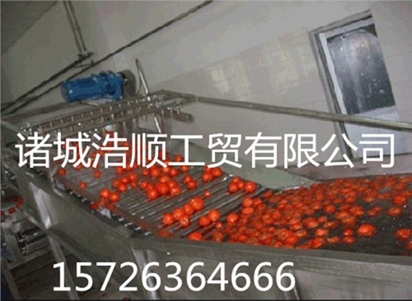 供应西红柿气泡清洗机 