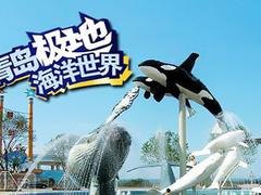 青岛极地海洋 青岛哪里有具有口碑的青岛极地双馆淡