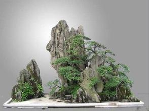 水泥假山_假山盆景制作_室内假山水池——湖北倚天园林