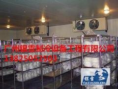 餐饮冷库工程建造——广东哪家餐饮冷库工程安装设计