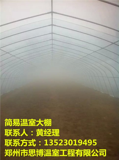 安徽温室大棚建设公司