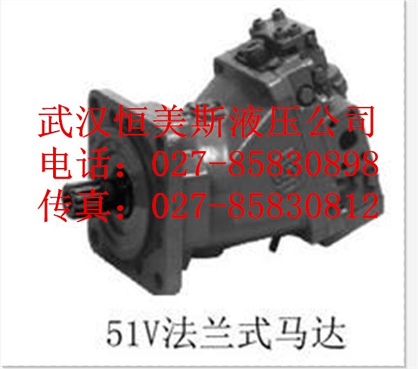 供应迁丹佛斯柱塞泵51V160AF1NL2B1VACOADAO55AANNB