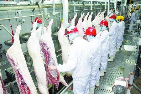 供应澳大利亚肉食加工厂招工  刘老师
