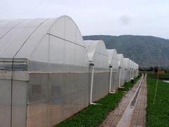 广西实用的广西温室大棚：广西温室大棚