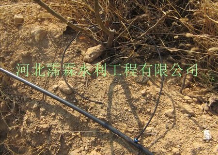 现货供应湖南地区黑色果树滴灌毛管