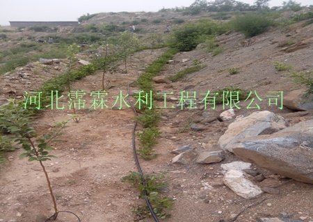 湘潭市地区脐橙滴灌-紊流器/毛管价格