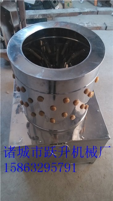 鸽子脱毛机厂家