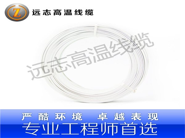 泰州哪里有供应耐用的远志FEP铁氟龙电线200℃