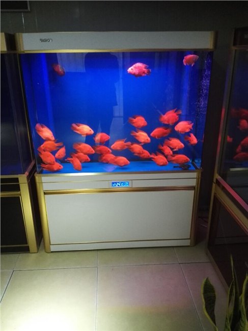 兰州三森水族箱批发，西宁水族箱批发，岷县水族箱批