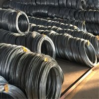 任丘供应热镀锌钢绞线_今日钢绞线价格_钢绞线多少钱一米
