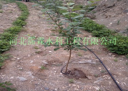 供应广西桂林地区果树灌溉_黑色滴管