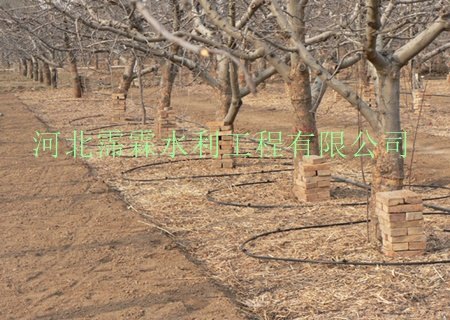 供应广西高质量果树滴灌毛管小管出流_专用
