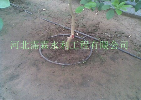 直销柳州市果树小管出流灌溉系统设备