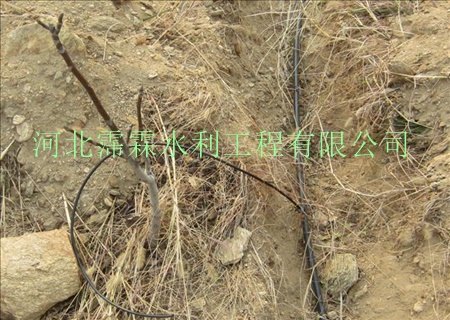 长久供应广西果园滴灌设备_滴灌毛管