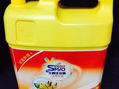 厂家供应洁净洗衣液|泉州新款洗衣液供应